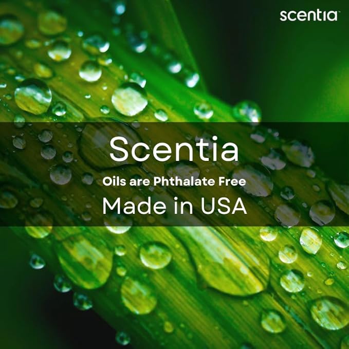 Scentia Hotel Diffuser Oil Inspired by The Wynn, Las Vegas Hotel - 20 mL 0.67 fl oz - Fragrance Oil Blend for Aromatherapy & Ultraonic Diffusers - Mystical