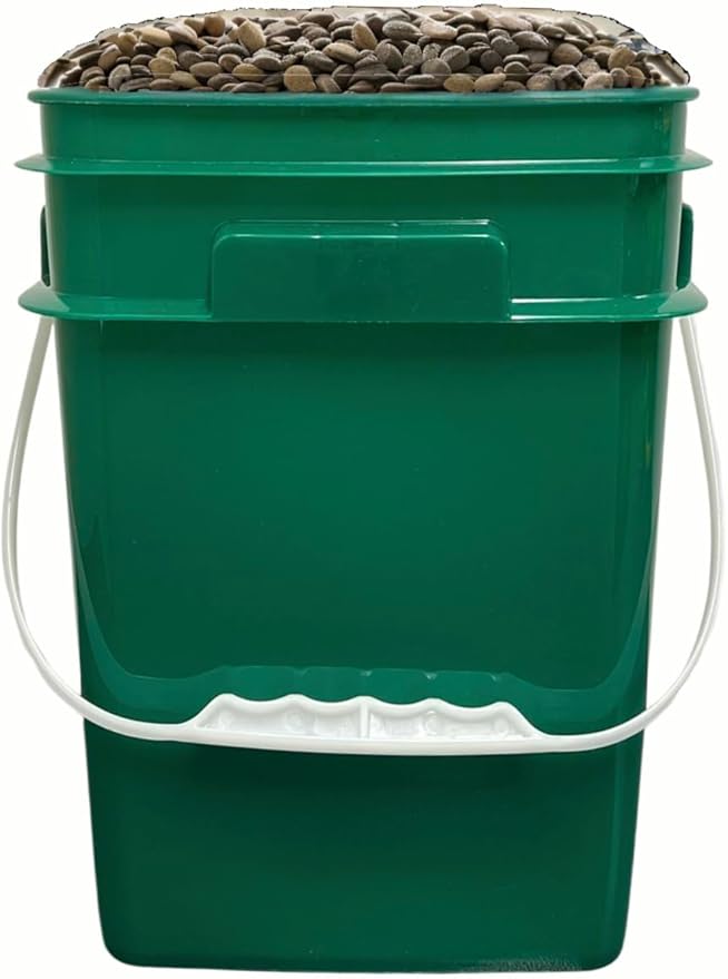 House Naturals 4 Gallon Square Buckets with lids- Made in USA Container- Pack of 10 (Dark Green - Black lids)