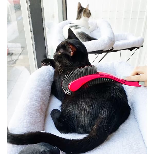 KittyWand Cat Brush, Black. Designed for Comfort, Created for Results. This innovative grooming brush features multi contoured shapes that gently adapt to your cats body for a stress free grooming.