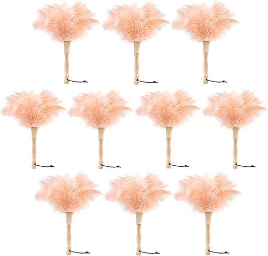 MehelloFeather Ostrich Feather Duster 12 Inch Handheld Duster Supplies, Wooden Handle Feather Duster for Cleaning Keyboard Home Car Office (Champagne 10Pcs)