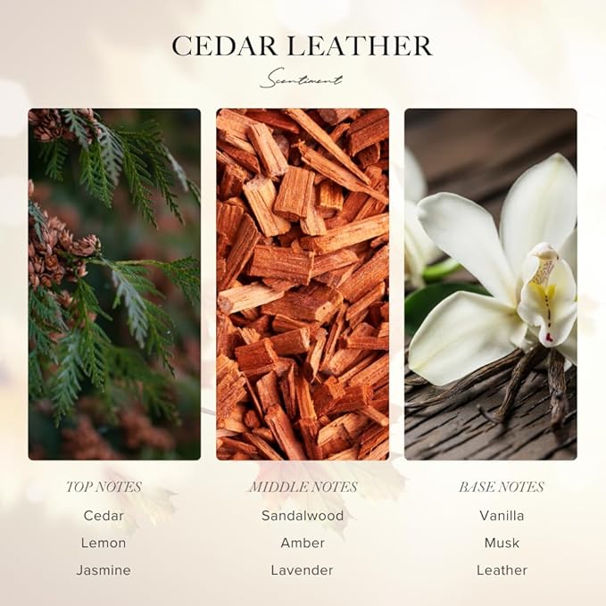Scentiment Diffuser Oil - Cedar Leather Fall Collection | Aromatherapy Home Fragrance | Luxurious Scent with Lemon, Jasmine Sandalwood, Amber, Lavender, Vanilla, & Musk (20ml)