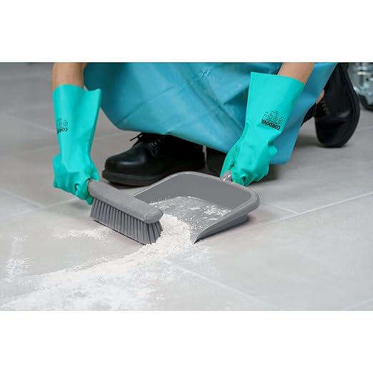 SPARTA Large Handheld Dustpan with Hanging Hole, Heavy-Duty Plastic Dustpan with Wide Lip for Countertops and Surfaces, Plastic, 10 Inches, Gray, (Pack of 12)