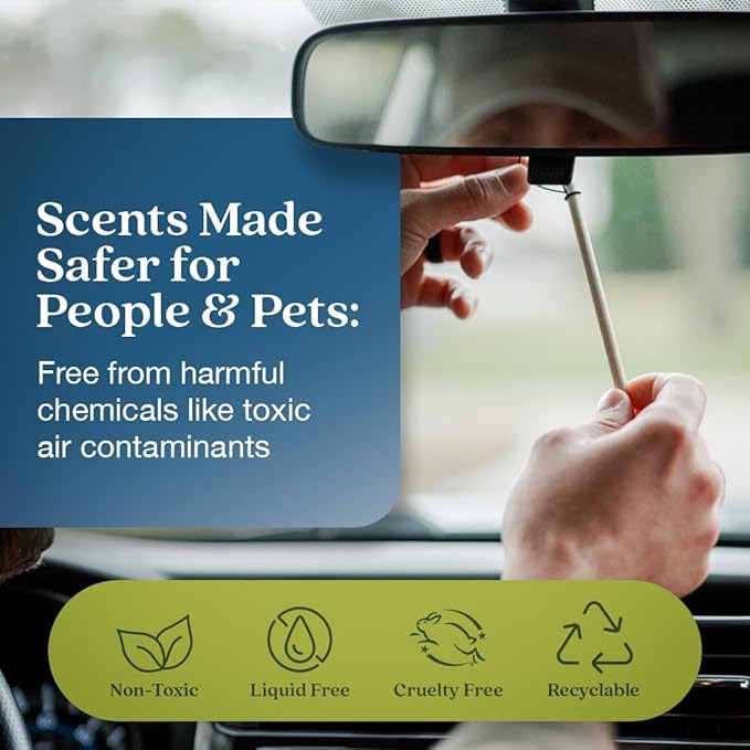 Enviroscent Non-Toxic Car Air Freshener | Natural Car Air Freshener | Essential Oil Diffuser | Car Scent Lasting Over 480 Days | 8 Packs of 2 Hanging Auto Stix (Coastal Storm & Teakwood)