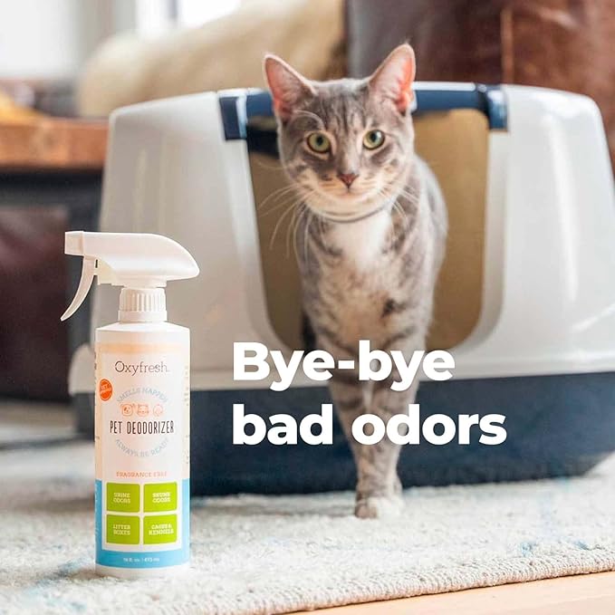 Oxyfresh Extra Strength Pet Urine Odor Eliminator for Home Spray - Goodbye to Stinky Odors - No Fragrance, No Harsh Chemicals - Works on Contact - Upholstery & Auto - Safe & Pet Parents Love It
