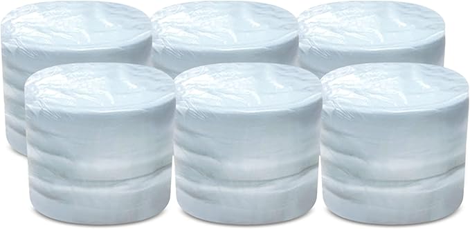 WIPESPLUS Replacement Standard Multi-Task Wipes, Dry Wipes for Home and Business, 600 Count (6 Packs of 100)
