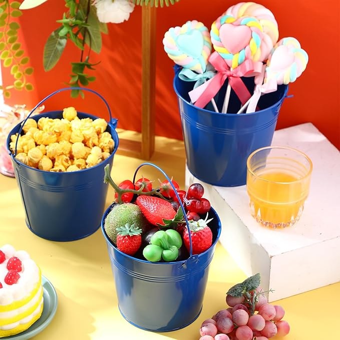 Rtteri 24 Pcs Small Metal Buckets with Handle Mini Buckets Bulk for Easter Party Favors Classroom Pencil Holder Flower Pot Plant Basket for Crafts DIY Projects, 6 x 5 Inch(Dark Blue)