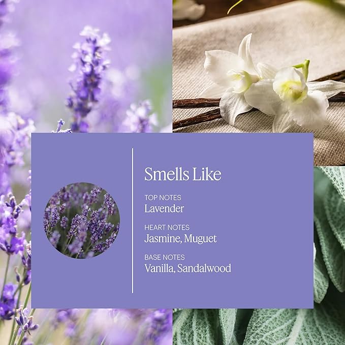 Aera Mini Pillow Plans - Essential Oil for Home – Soothing MoodBoost Fragrance - Notes of Lavender and Sage - Scent Refill - Capsule Size Works with Mini Diffuser