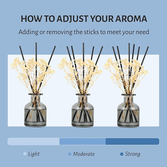 Brakula 2 Pack Reed Diffuser, Eucalyptus & Wild Mint + Lavender Eucalyptus (3.38 fl oz Each Pack), Home Fragrance with 12 Sticks, Shelf Decor, Reed diffusers for Home
