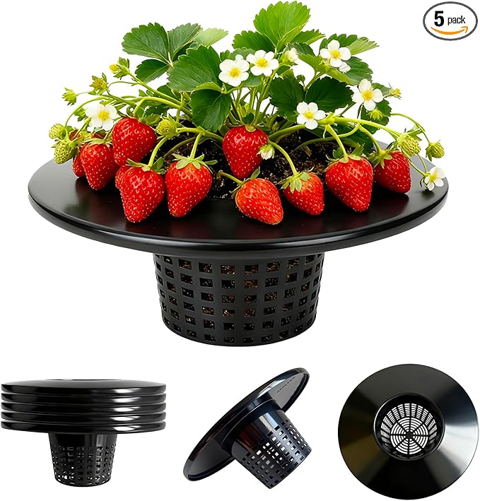 HG6RDBK 6 in. Wide Lip Bucket Basket(Pack of 5)，5 Gallon Bucket Lids for DWC, Net Pots for Hydroponics，Round Plant Container with Mesh Bottom
