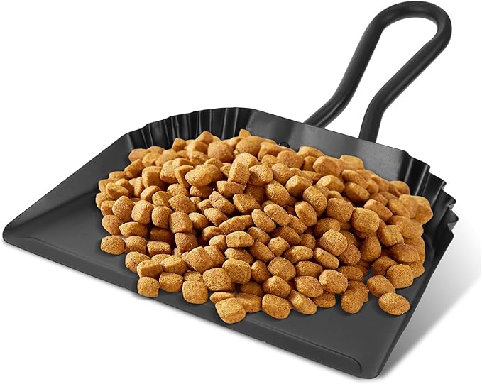 2 Pack Black Metal Dustpan, 12 Inch Heavy Duty Steel Dust Pan with Handle Handheld Dustpan Wide Scooper for Indoor, Outdoor, Fireplace, Industrial and Commercial Use