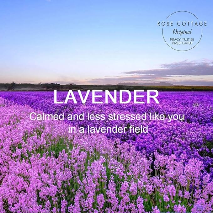 ROSE COTTAGE Large 12 Packs Lavender Hanging Closet Deodorizer Air Freshener Long Lasting Scented Sachets Smell Goods for House