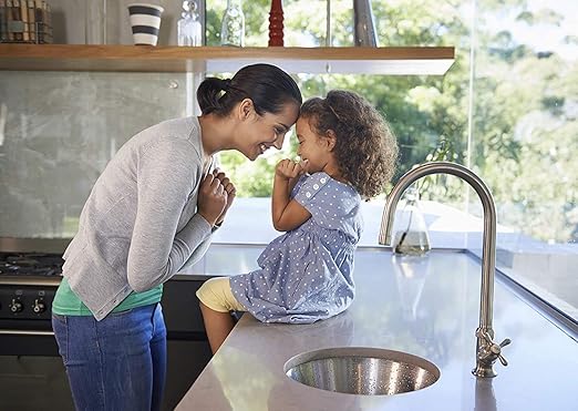 MORE Premium Plus Stone Sealer Protector for Countertops - Natural Stone, Marble, Granite Surfaces - Advanced Formula (Pint / 16oz)