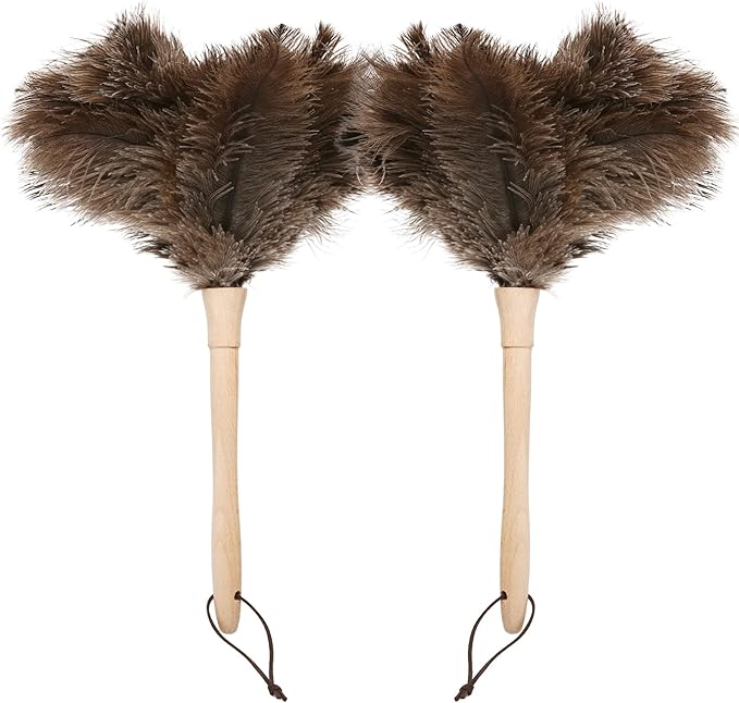 Daieeparty Ostrich Duster Fluffy Natural Feather Dusters with Wooden Handle Cleaning Supplies for Home Office Car (2, 16inch)