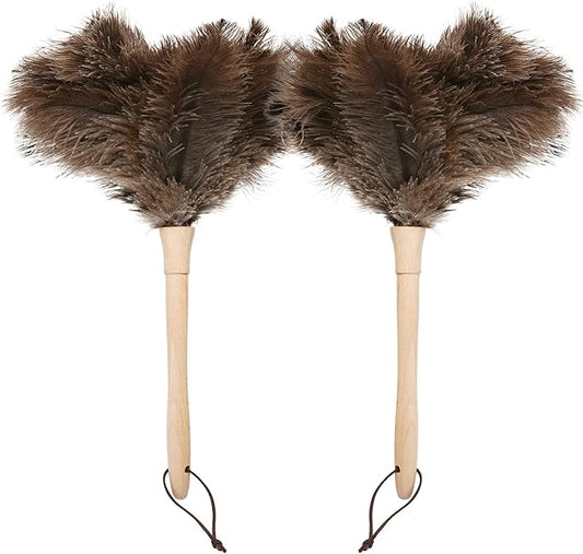 Daieeparty Ostrich Duster Fluffy Natural Feather Dusters with Wooden Handle Cleaning Supplies for Home Office Car (2, 16inch)