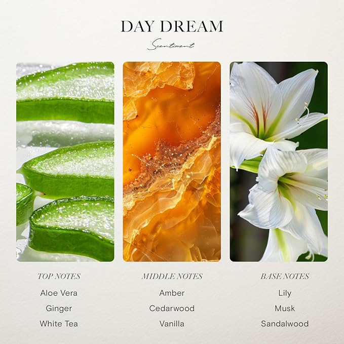 Scentiment Diffuser Oil - Day Dream | Inspired by Westin® Hotel White Tea Scent | Aromatherapy Home Fragrance| Luxurious Scent with Notes of Aloe Vera, Cedar, White Tea (20ml)