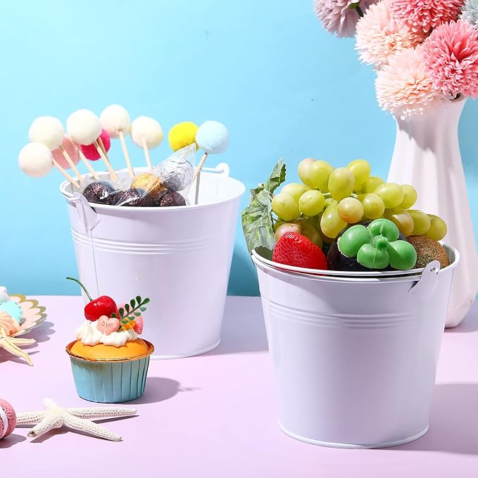 Rtteri 24 Pcs Small Metal Buckets with Handle Mini Buckets Bulk for Easter Party Favors Classroom Pencil Holder Flower Pot Plant Basket for Crafts DIY Projects, 6 x 5 Inch(White)