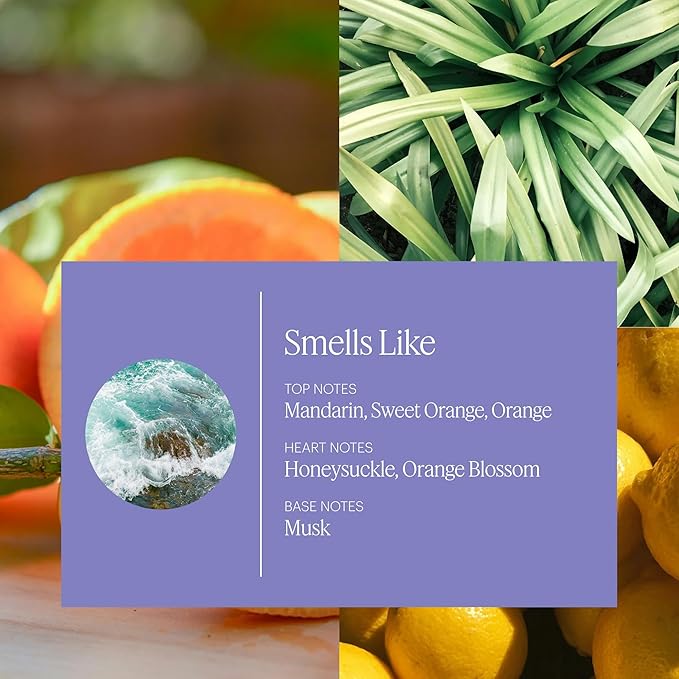 Aera Mini Sun's Out - Essential Oil for Home - Summer Fragrance - Notes of Sweet Orange and Mandarin - Scent Refill - Capsule Size Works with Mini Diffuser