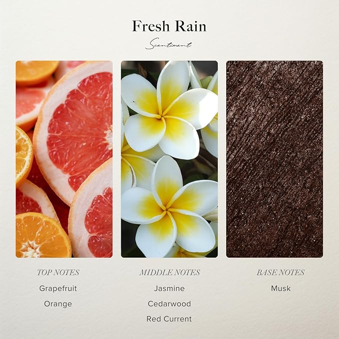 Scentiment Diffuser Oil - Fresh Rain | Aromatherapy Home Fragrance |Inspired by Marriott® Hotels | Luxurious Scent with Notes of Fresh Grapefruit and Crisp Red Currant (50 mL)