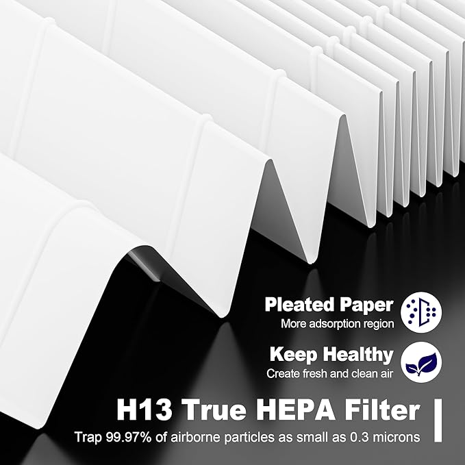 116130 Replacement Filter H for Winix 5500-2 AM80 Plasmawave Air Purifier, True HEPA Filter and Activated Carbon Filter Combo Pack, 2 Set