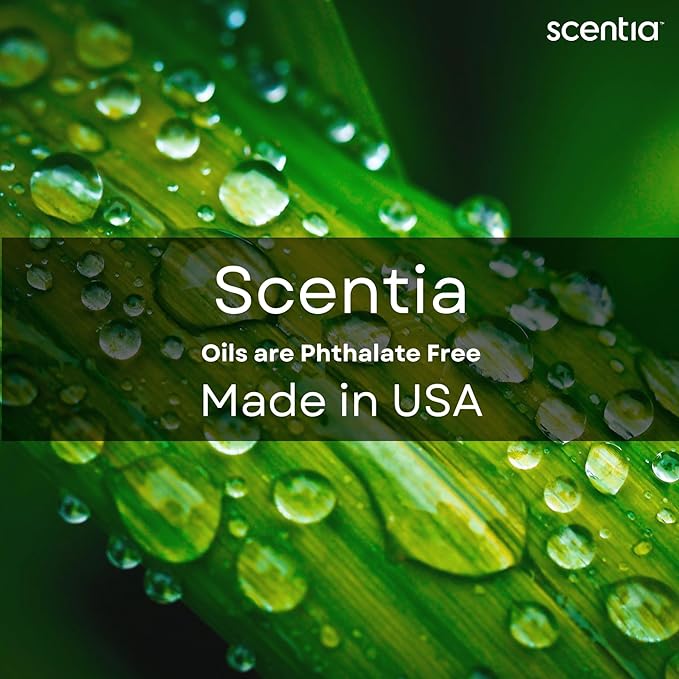 Scentia Hotel Diffuser Oil Inspired by The Nobu Hotel - 120 mL 4.06 fl oz - Essential Oil Blend Jasmine, Lilly, Sandalwood & Fresh Citrus for Aromatherapy Diffusers - Nobu Essence