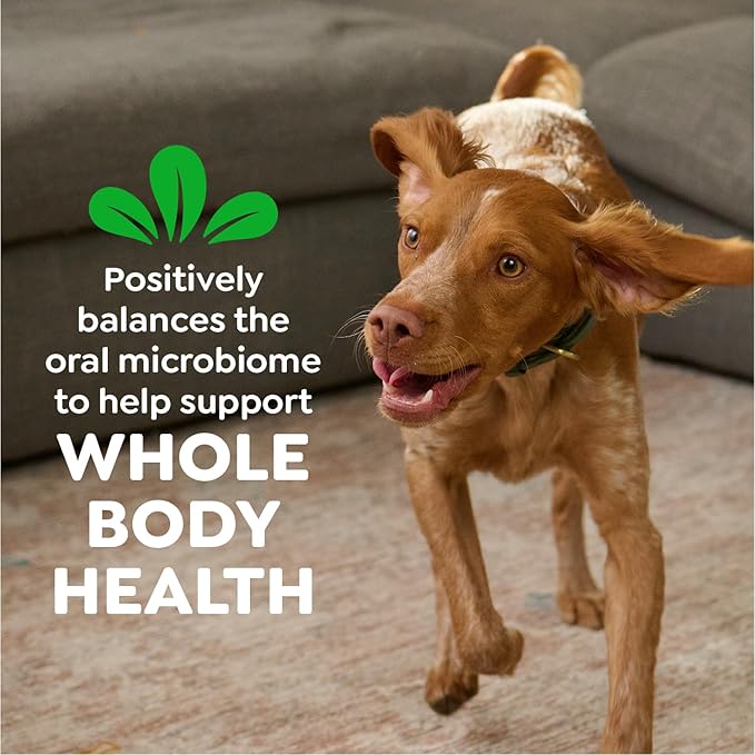 Greenies Veterinarian-Recommended Adult Natural Dental Dog Treats Petite Size, Original Flavor, (4) 30 ct Packs (120 Treats)