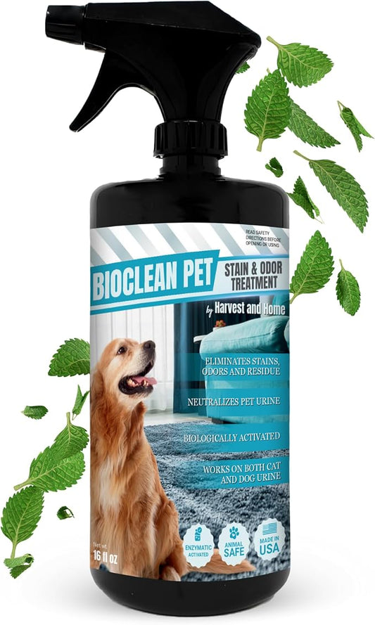 Carpet Cleaner and Deodorizer for Pets - Stain and Odor Treatment | Neutralizes Urine Stains and Eliminates Smell & Residue, Made in The USA - Biocelan Pet by Harvest and Home - 16oz