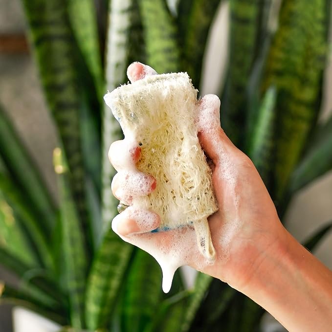 SUPERBEE Natural Kitchen Sponges 10 Pack - Plant-Based Biodegradable Loofah Dish Sponge - Eco-Friendly, Zero-Odor, Cleaning Dirty Dishes, pots, and Pans, Cleaning - Plastic-Free Sponge