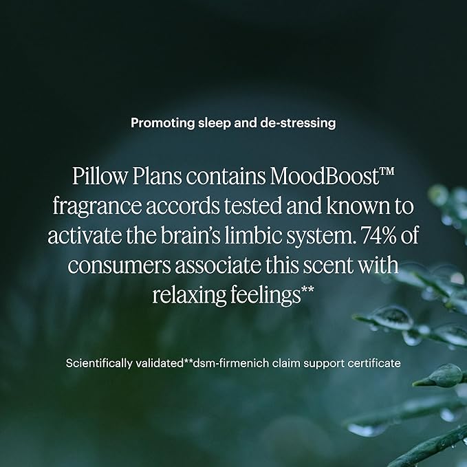 Aera Mini Pillow Plans - Essential Oil for Home – Soothing MoodBoost Fragrance - Notes of Lavender and Sage - Scent Refill - Capsule Size Works with Mini Diffuser