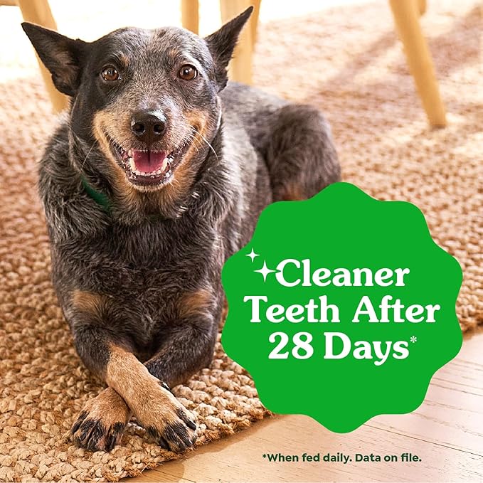 Greenies Veterinarian-Recommended Adult Natural Dental Dog Treats Petite Size, Original Flavor, (4) 30 ct Packs (120 Treats)