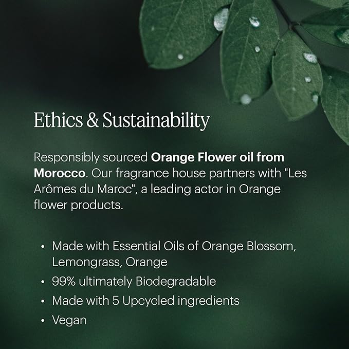 Aera Mini Sun's Out - Essential Oil for Home - Summer Fragrance - Notes of Sweet Orange and Mandarin - Scent Refill - Capsule Size Works with Mini Diffuser