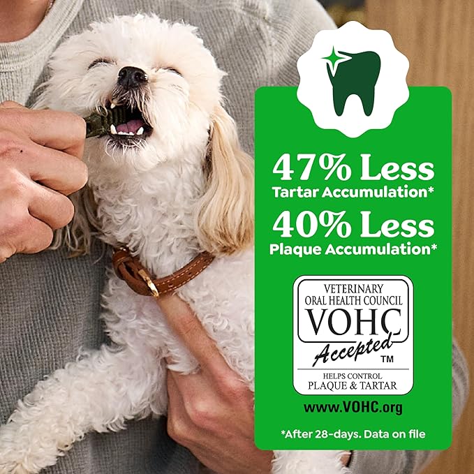 Greenies Veterinarian-Recommended Adult Natural Dental Dog Treats Petite Size, Original Flavor, 6 oz. Pack,10 Count