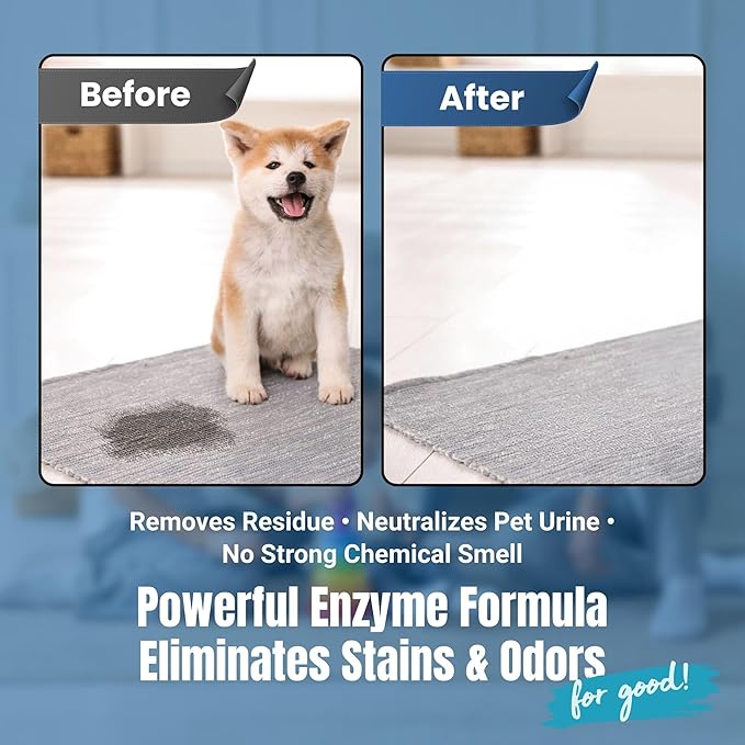 Carpet Cleaner and Deodorizer for Pets - Stain and Odor Treatment | Neutralizes Urine Stains and Eliminates Smell & Residue, Made in The USA - Biocelan Pet by Harvest and Home - 1 Gallon