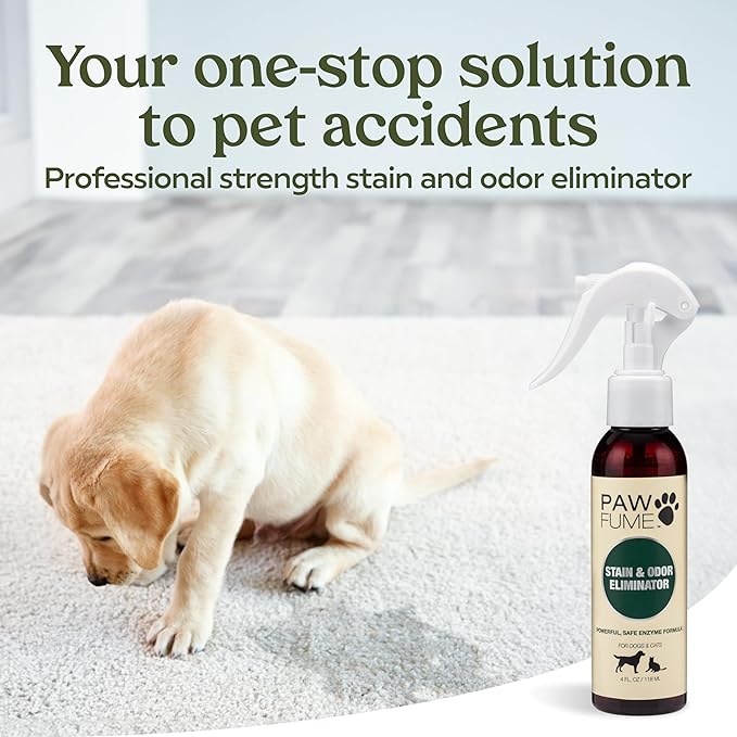 PAWFUME Stain & Pet Urine Odor Eliminator, 2-Pack – Removes Impurities in Seconds – Enzymatic Formula, Quick-Dry Action, & Eco-Friendly Ingredients – Upholstery, Fabrics, and Carpet Cleaner Spray