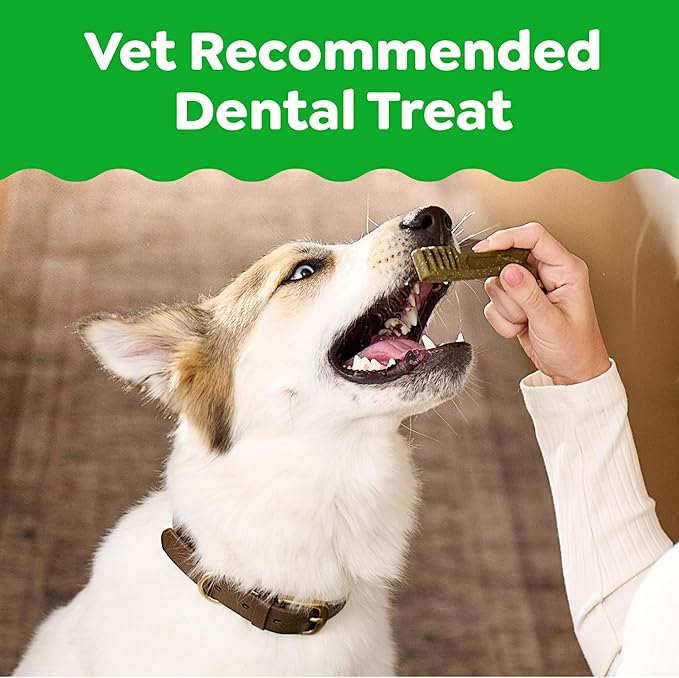 Greenies Veterinarian-Recommended Adult Natural Dental Dog Treats Petite Size, Original Flavor, 12 oz. Pack, 20 Count