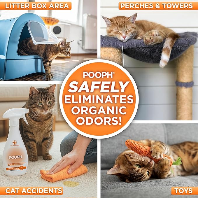 POOPH Kitty Spray - Odor Eliminator, 16oz - Dismantles Odors on a Molecular Basis, Cats, Freshener, Eliminator, Urine, Poop, Pee, Deodorizer, Fresh, Clean, Furniture, Potty, Safe