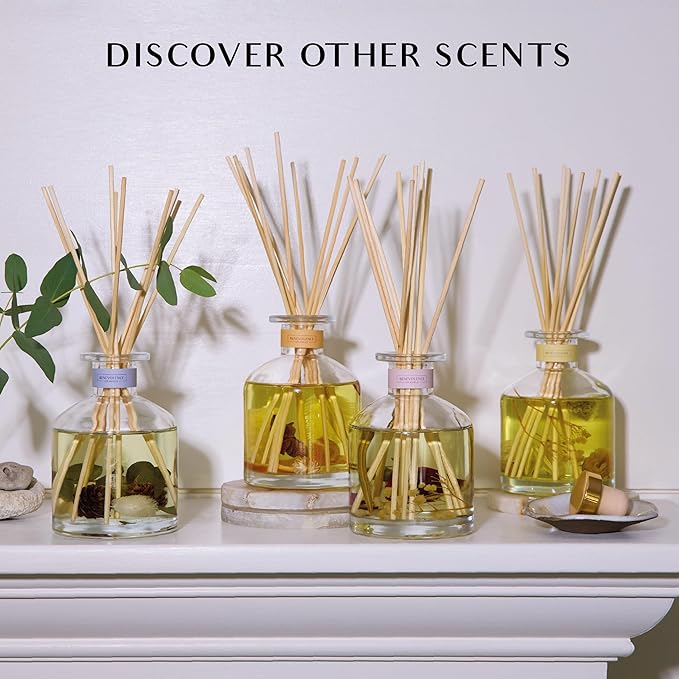 Benevolence LA Pacific Driftwood Reed Diffuser | Eucalyptus, Fig & Sandalwood | Home Fragrance Diffuser for Bathroom | Long-Lasting Scent Sticks | Sun-Kissed Collection