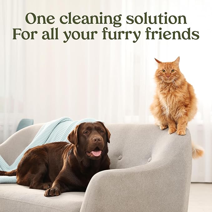 PAWFUME Stain & Pet Urine Odor Eliminator, 1-Pack – Removes Impurities in Seconds – Enzymatic Formula, Quick-Dry Action, & Eco-Friendly Ingredients – Upholstery, Fabrics, and Carpet Cleaner Spray