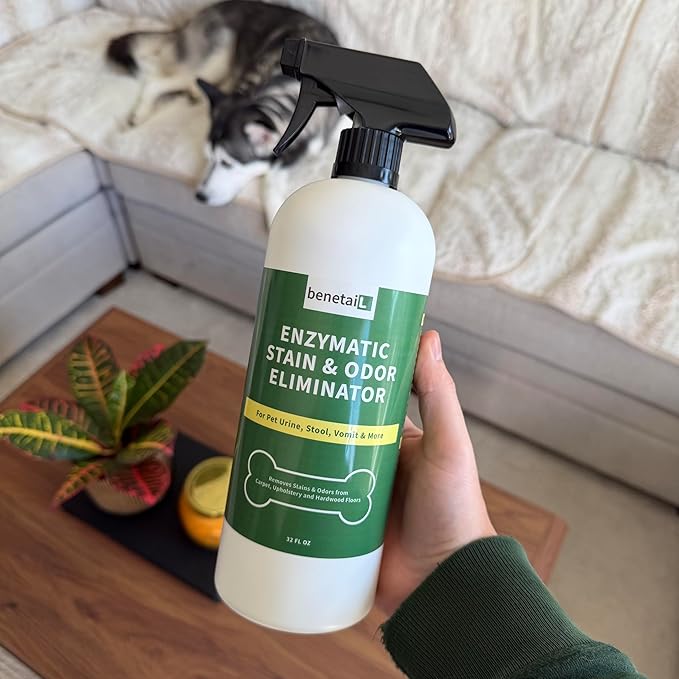 Benetail | Pet Enzymatic Stain & Odor Eliminator for Strong Odors Around the Home - Carpet Cleaner for Dog & Cat Urine - 32oz Spray