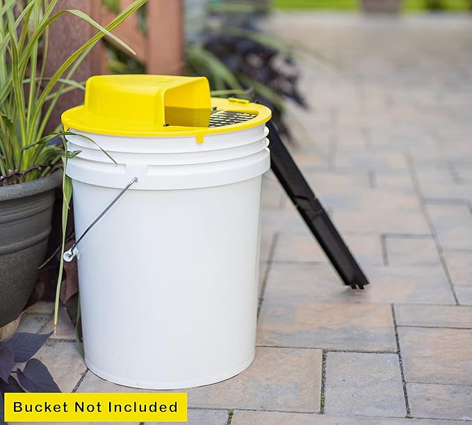 RinneTraps - Flip N Slide Bucket Lid Mouse Trap |2 Pack| |Multi Catch| |Made in USA | US Pat D1,039,648s