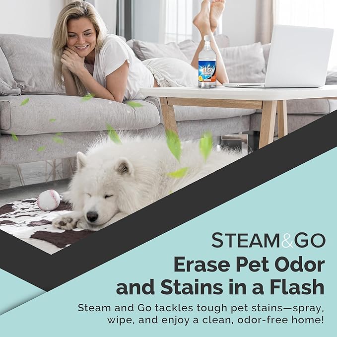 Steam & Go Multi-Purpose Cleaner Spray with Oxy Power for Multi-Surfaces - Removes Stains, Eliminates Odors, & Degreases - Orange Scent, 32 oz