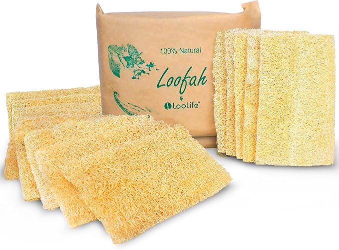 Natural Loofah Kitchen Sponge (XL - 10 Pack) - Natural Sponges for Dishes - Eco Friendly and Compostable Sponges - Plant Based Kitchen Dish Biodegradable Sponge