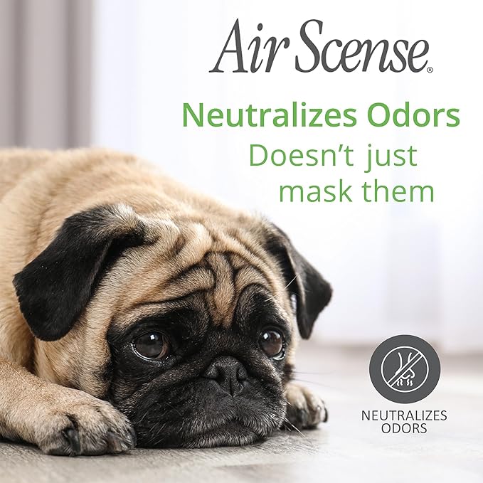 Air Scense Essential Oil Air Freshener - Lavender Scent - Non-Aerosol - 7 fl oz | Refreshing, Long-Lasting Scent | Eco-Friendly | Exceptional Value| Single Can