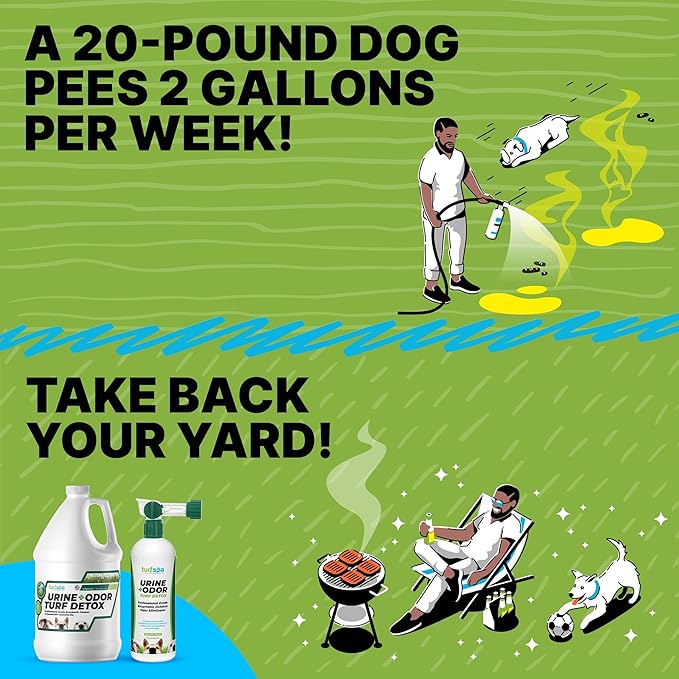 TurfSpa Urine & Odor Turf Detox: 32 oz Mango Scented Professional Enzyme Cleaner & Odor Eliminator for Artificial Grass, Turf, Concrete & Patios, Pet Urine Enzymatic Cleaner for Dogs & Cats