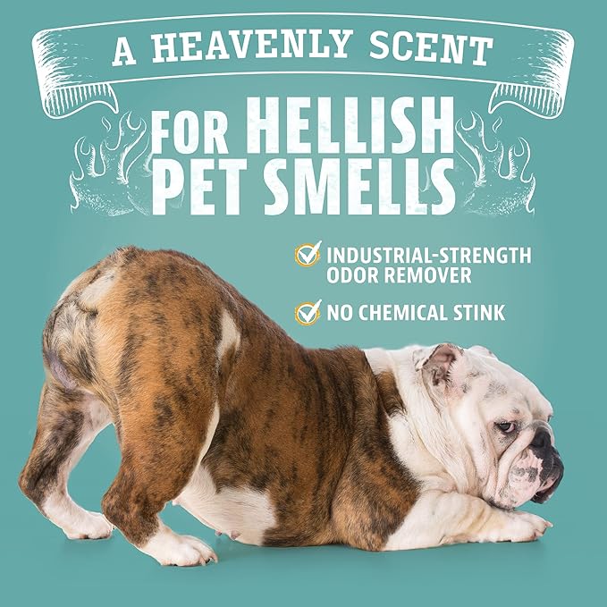 ANGRY ORANGE Pet Odor Eliminator – Citrus Concentrate (8 oz, Makes 128 oz) + 1 Gallon Cleaner for Dog and Cat Urine, Stains, and Odors