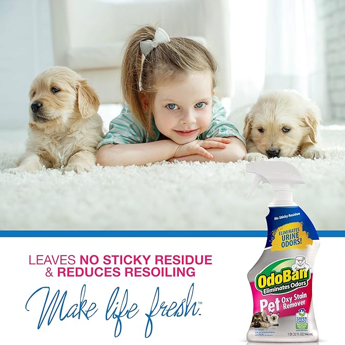 OdoBan Pet Solutions Oxy Stain Remover, Pet Stain Eliminator, Made in the USA, 10-Pack, 32 Ounce Spray Each