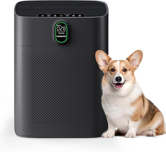 MORENTO Air Purifiers for Home Large Room up to 1076 Sq Ft with PM 2.5 Display Air Quality Sensor for Pet Hair, Double-Sided Air Inlet, 24db, Black, 1 Pack + 2 Pack Filters
