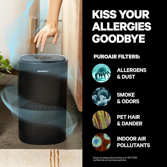 PuroAir 240 Replacement Filter - HEPA Filters up to 99.9% of Smoke, Pollen, Dust and Common Household Pollutants - HEPA Air Filter Replacement for PuroAir 240 Air Purifier (2 Pack)