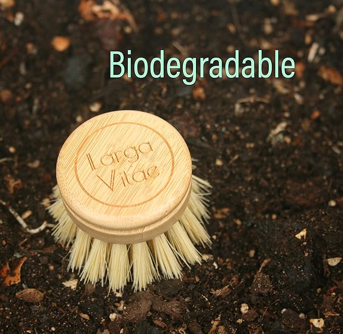 Larga Vitae 6 pcs Wooden Dish Brush Replacement Heads Made of Renewable Bamboo Wood and Natural Bristle Fiber, Durable, Long Lasting (Tampico Fiber)