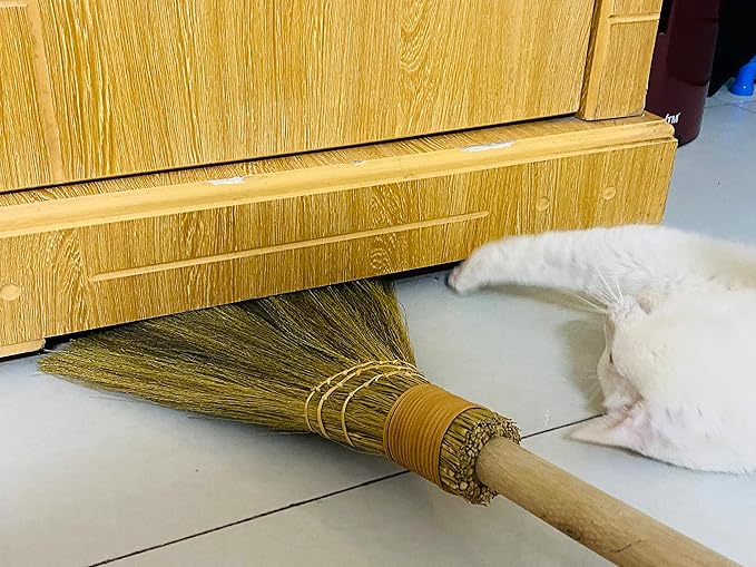 Handmade Vietnamese Straw Broom, Single Handle – Free Halloween Decoration Set, Witch Broom for Costume, Haunted House & Indoor Decor, Soft Grass Whisk Broom for Sweeping or Display