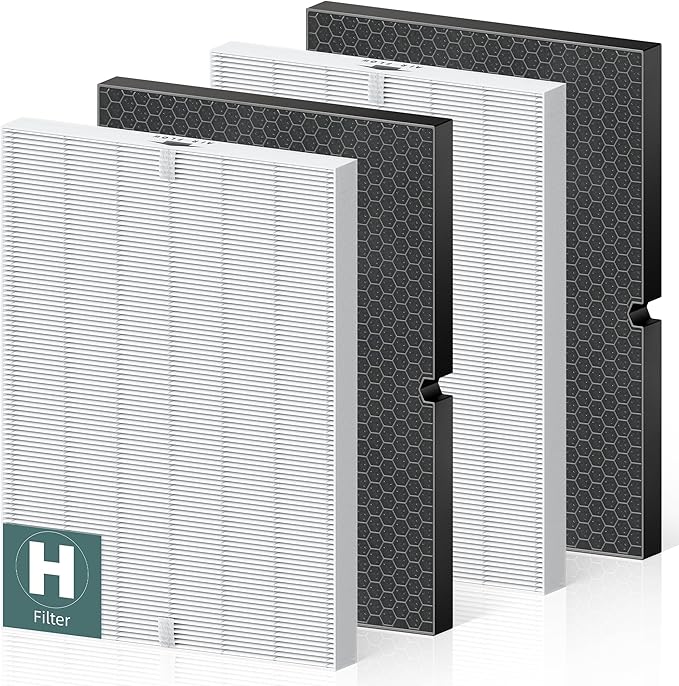 116130 Replacement Filter H for Winix 5500-2 AM80 Plasmawave Air Purifier, True HEPA Filter and Activated Carbon Filter Combo Pack, 2 Set